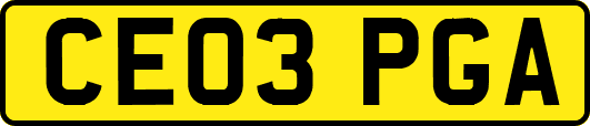 CE03PGA