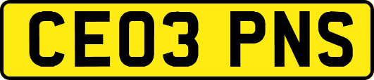 CE03PNS