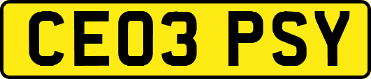 CE03PSY
