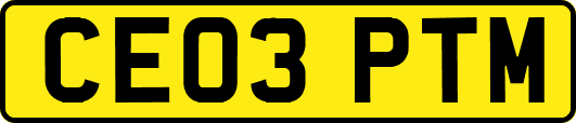 CE03PTM