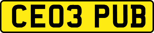CE03PUB