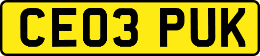 CE03PUK