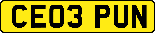 CE03PUN