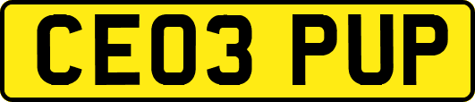 CE03PUP