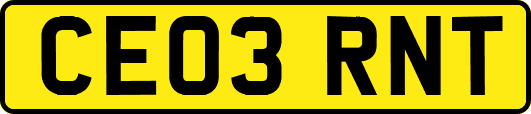 CE03RNT