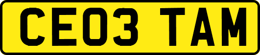 CE03TAM