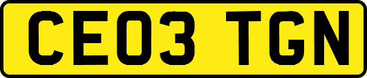 CE03TGN