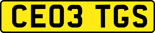 CE03TGS