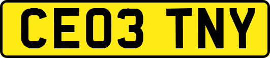 CE03TNY