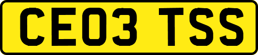 CE03TSS