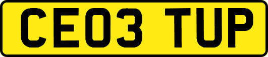 CE03TUP