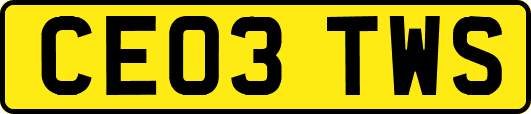 CE03TWS