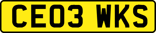 CE03WKS
