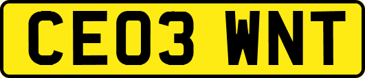 CE03WNT