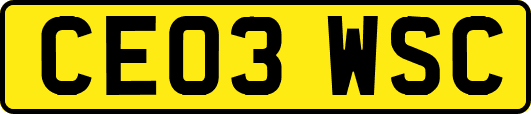 CE03WSC