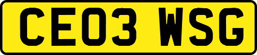 CE03WSG