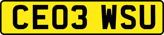 CE03WSU