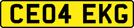 CE04EKG