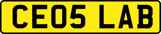 CE05LAB