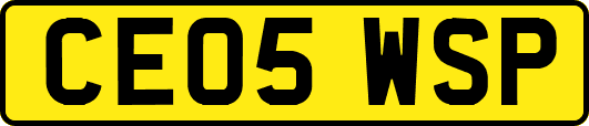 CE05WSP