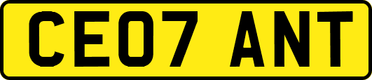 CE07ANT
