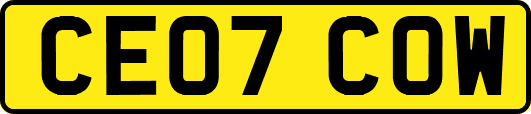 CE07COW