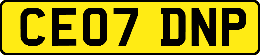 CE07DNP