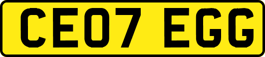CE07EGG