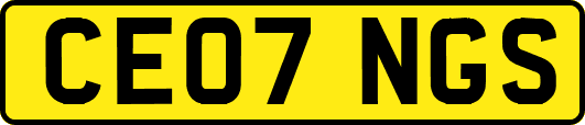 CE07NGS