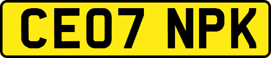 CE07NPK