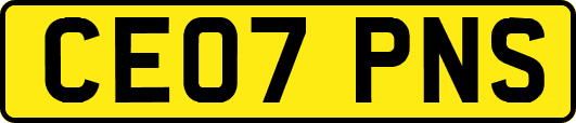 CE07PNS
