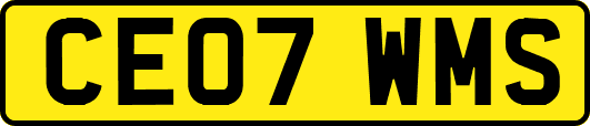 CE07WMS