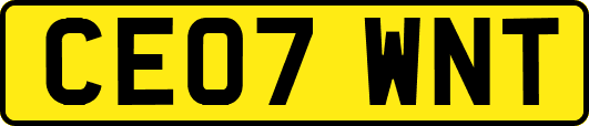 CE07WNT