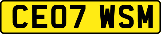 CE07WSM