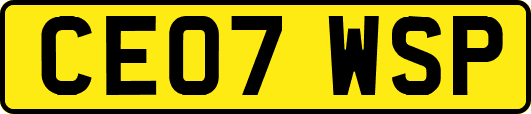 CE07WSP