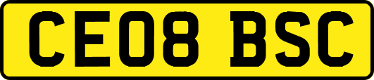 CE08BSC