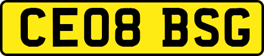 CE08BSG