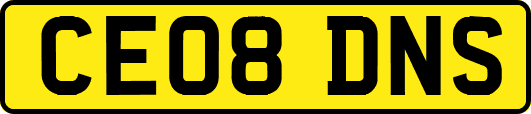 CE08DNS