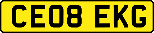 CE08EKG