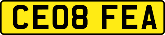 CE08FEA