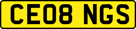 CE08NGS