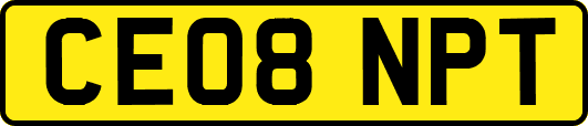 CE08NPT