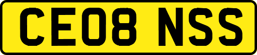 CE08NSS