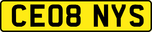 CE08NYS