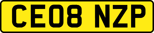 CE08NZP