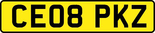 CE08PKZ
