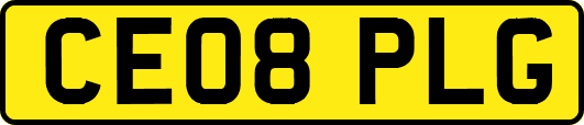 CE08PLG
