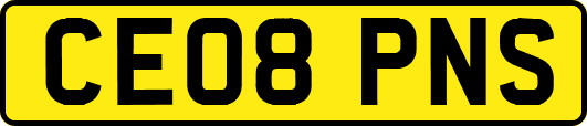 CE08PNS