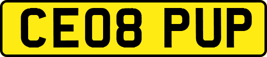 CE08PUP