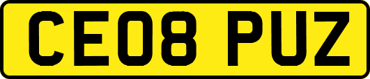 CE08PUZ